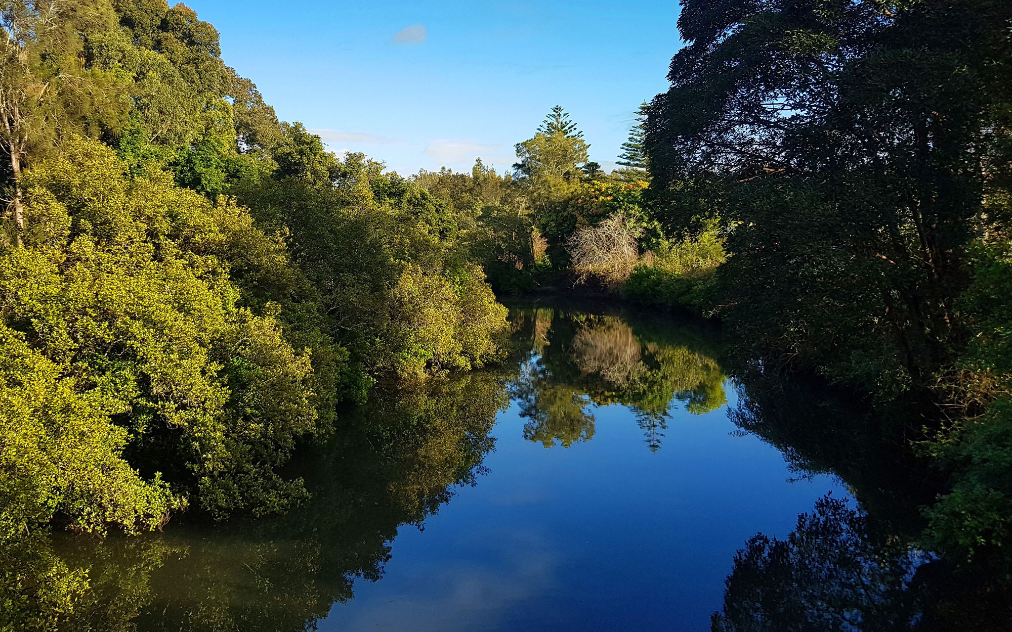 Browns Creek, Taree, New South Wales, Australia landscape.