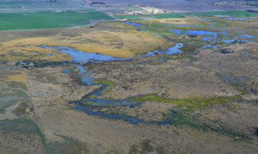 Gwydir Wetlands waterbird breeding floodplains.