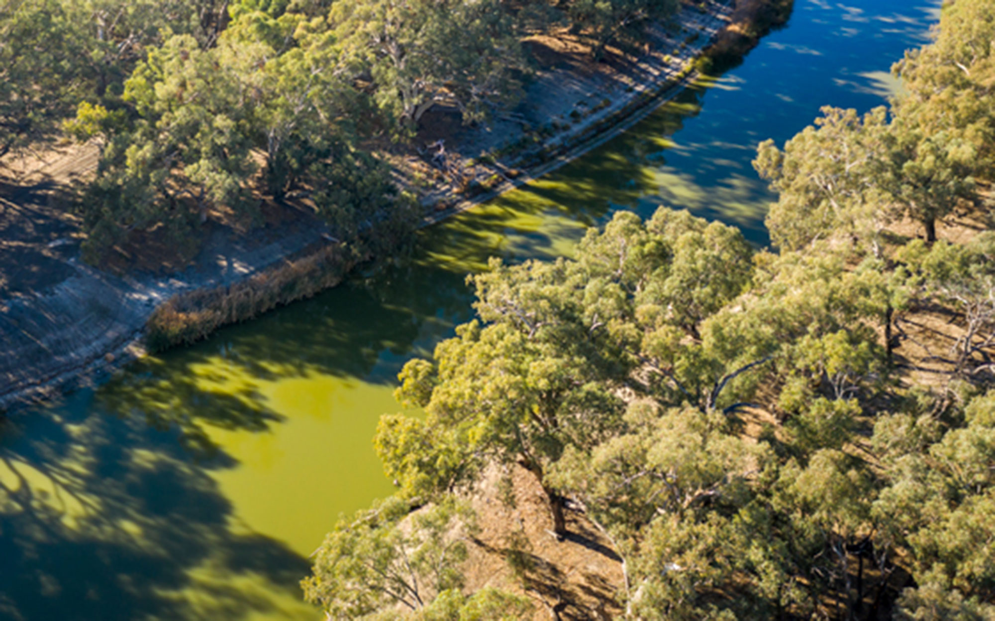 Aerial view of Darling River with algal bloom 