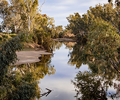 Protecting environmental flows in the Gwydir River system.
