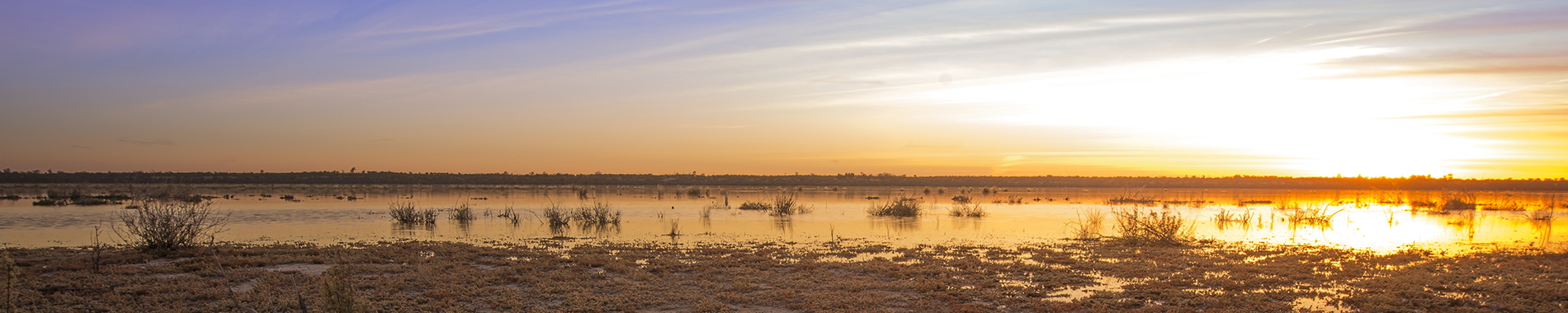 Wetlands Sunset, Mid Murray River.