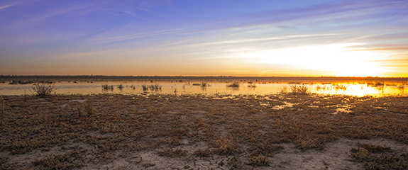 Wetlands Sunrise, Mid Murray River.