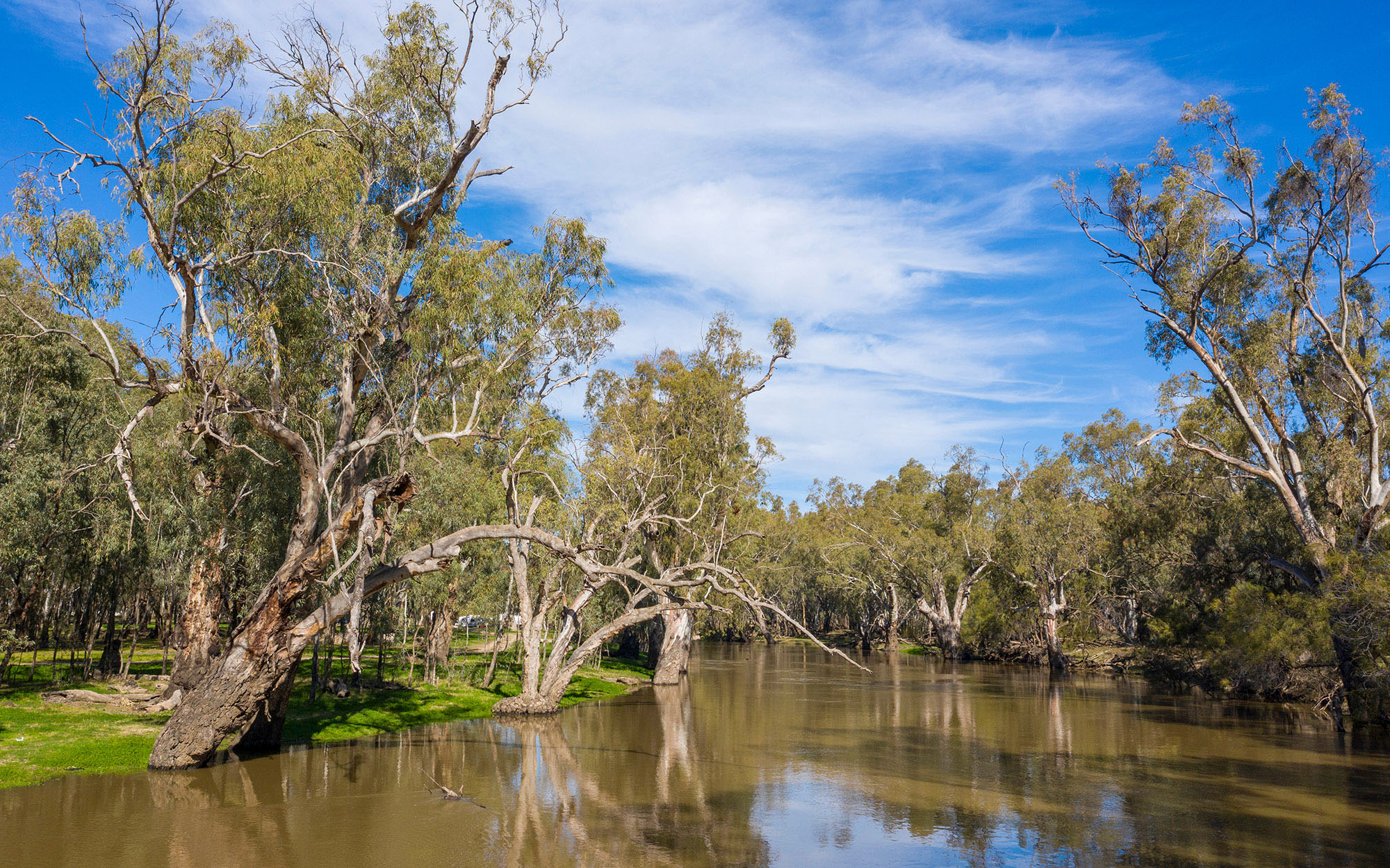 The Lachlan river in the central west of New South Wales, Australia.