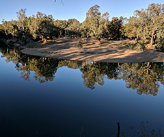 Macquarie river's undisturbed beauty in Australia. 