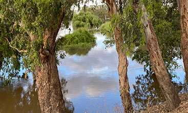 Clouds reflected on the river with gum trees on the bank. Image credit: Karina Redpath DPE 
