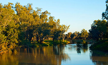 Darling River with reflections on the water and tree either side 