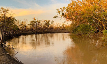 Culgoa River - Image credit: Melissa Hams