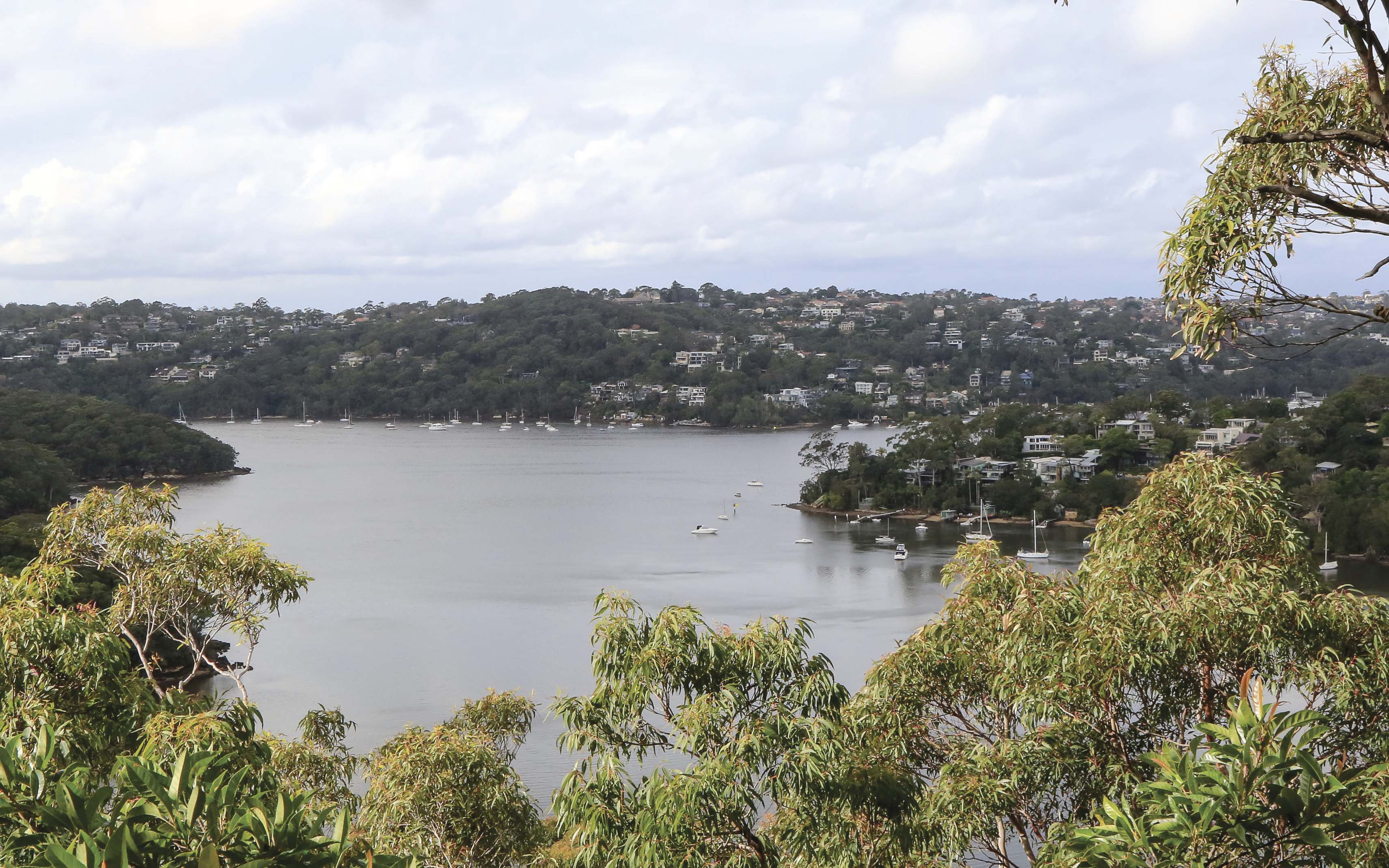 View of Sugarloaf bay from Harold Reid Reserve, Middle Cove, Sydney