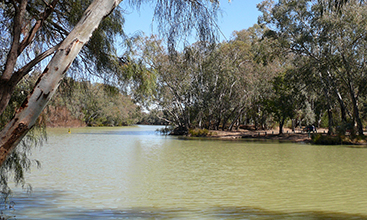  A view of the Bogan River at Nyngan in rural New South Wales.