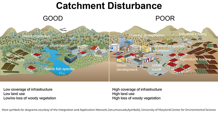 Figure 6. Good versus poor catchment disturbance.