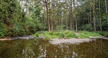 Bellinger River on the mid-north coast.