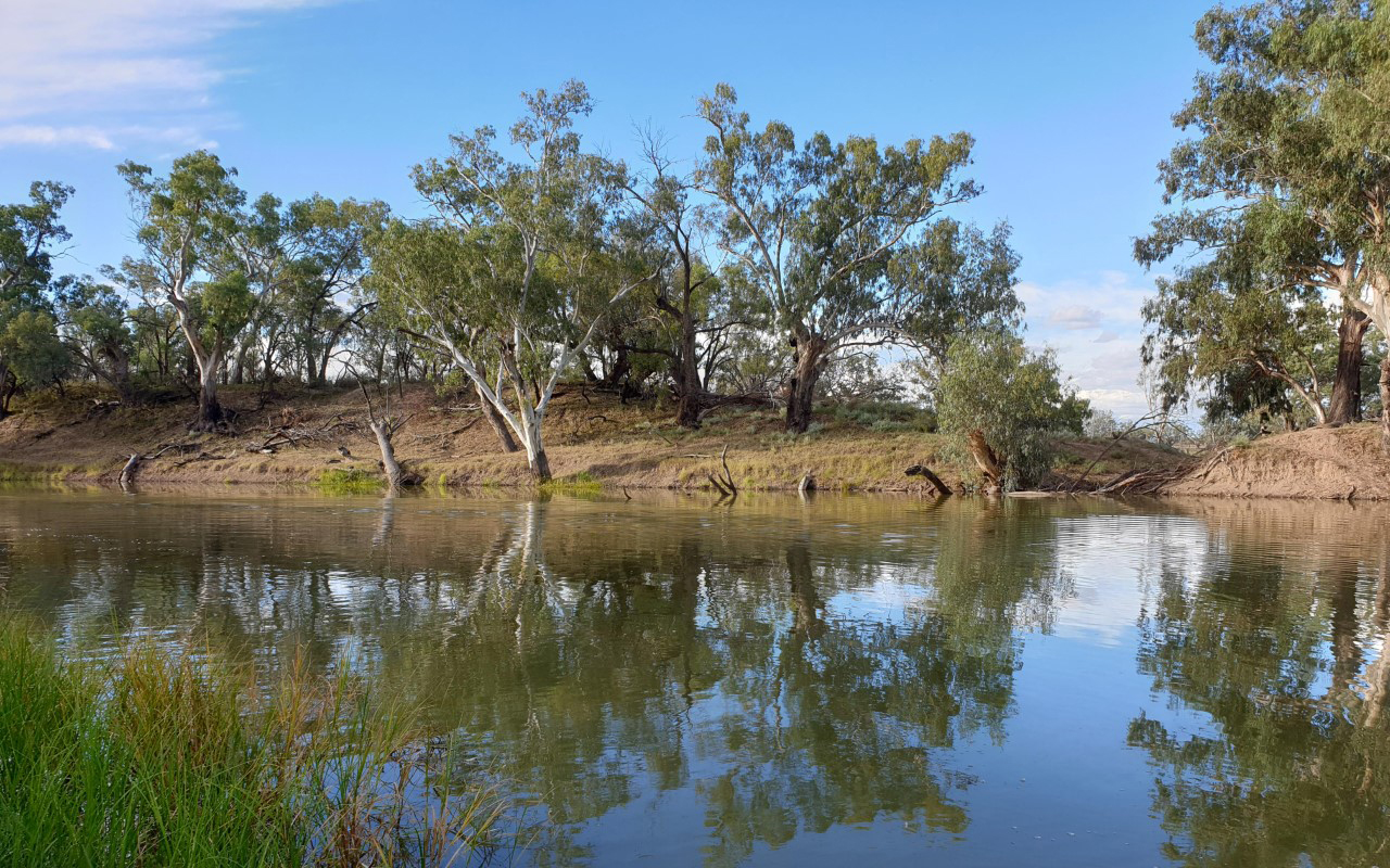 Barwon Darling river near Brewarrina.