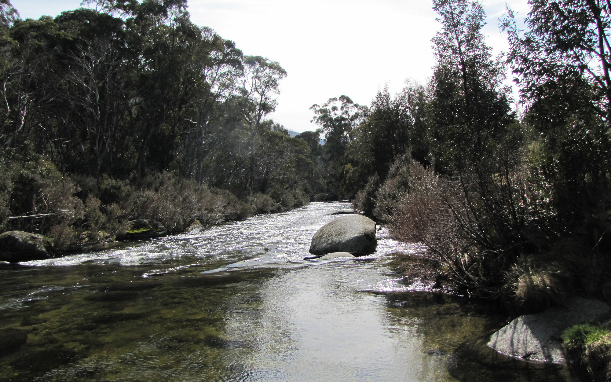 Snowy River flowing