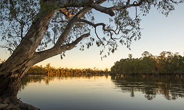  Wetlands Sunset, Mid Murray River - Image credit: John Spencer