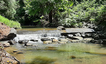 Cabbage Tree Creek in Wollongong - Image credit: Georgia McKeon