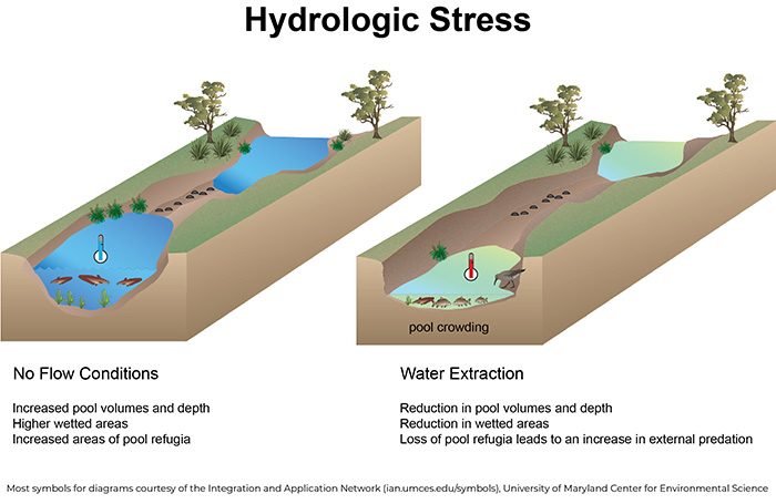 Figure 4. Hydrologic stress in no flow conditions and water extraction in no flow conditions.