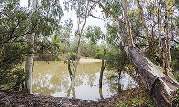 Macintyre River in Kwiambal National Park, New South Wales.