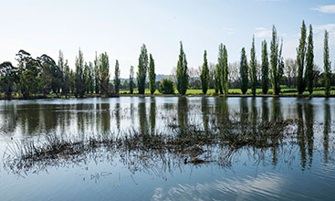 Bega River with trees and green area by the riverside - Image credit: Jaime Plaza Van Roon 