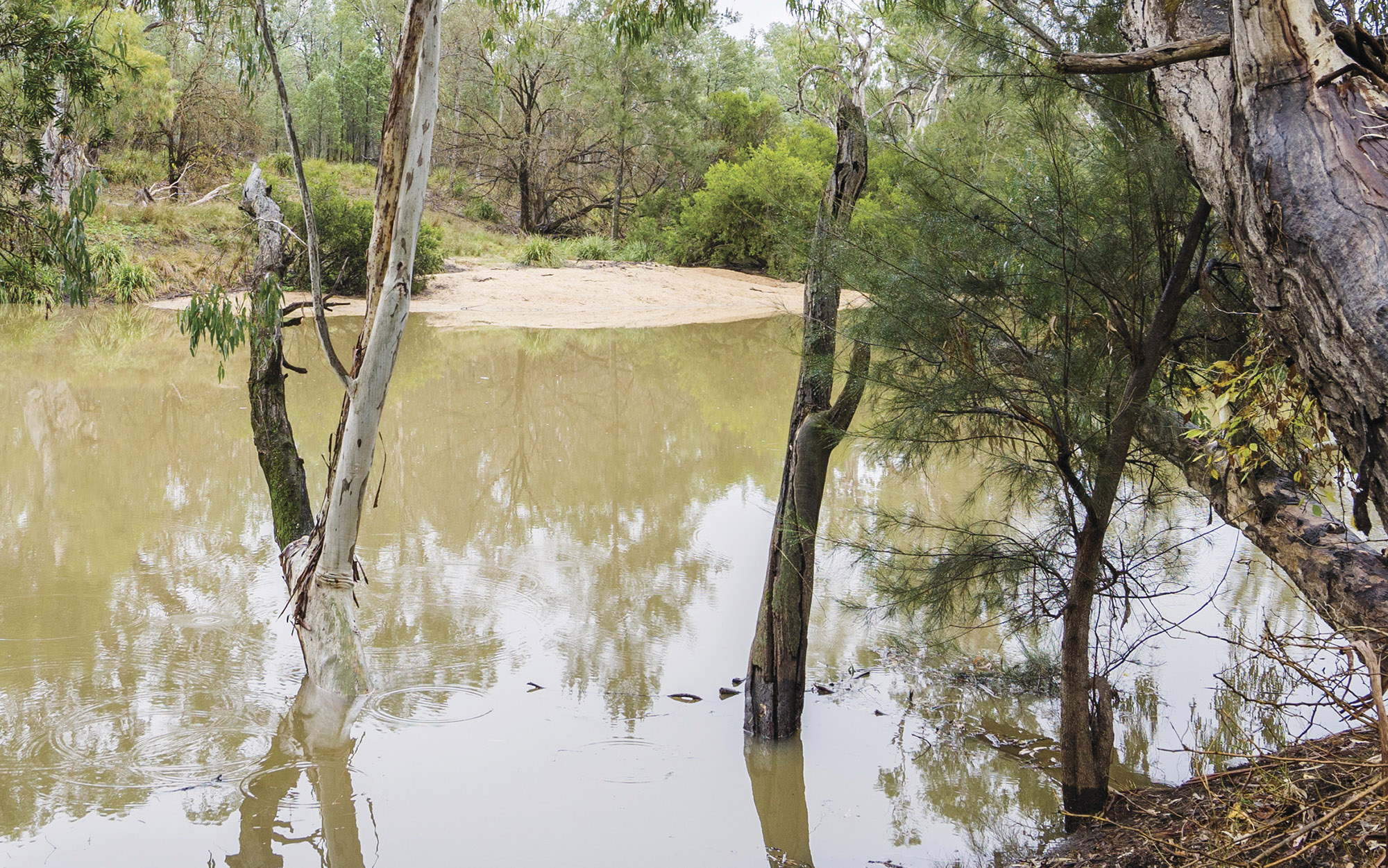 Macintyre River in Kwiambal National Park, New South Wales.