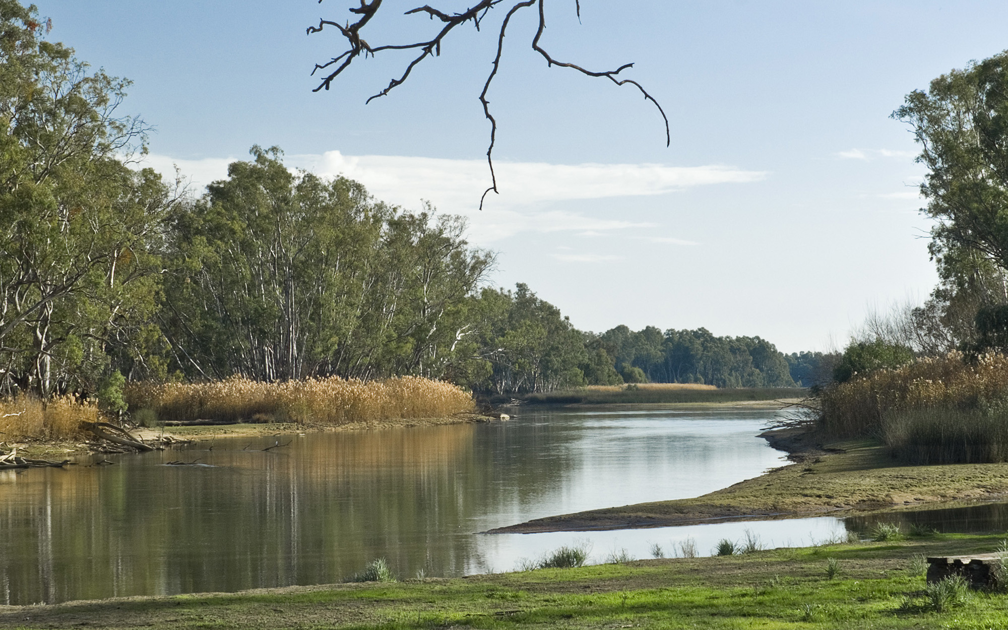 Barmah NSW Murray River at Broken Creek Junction.