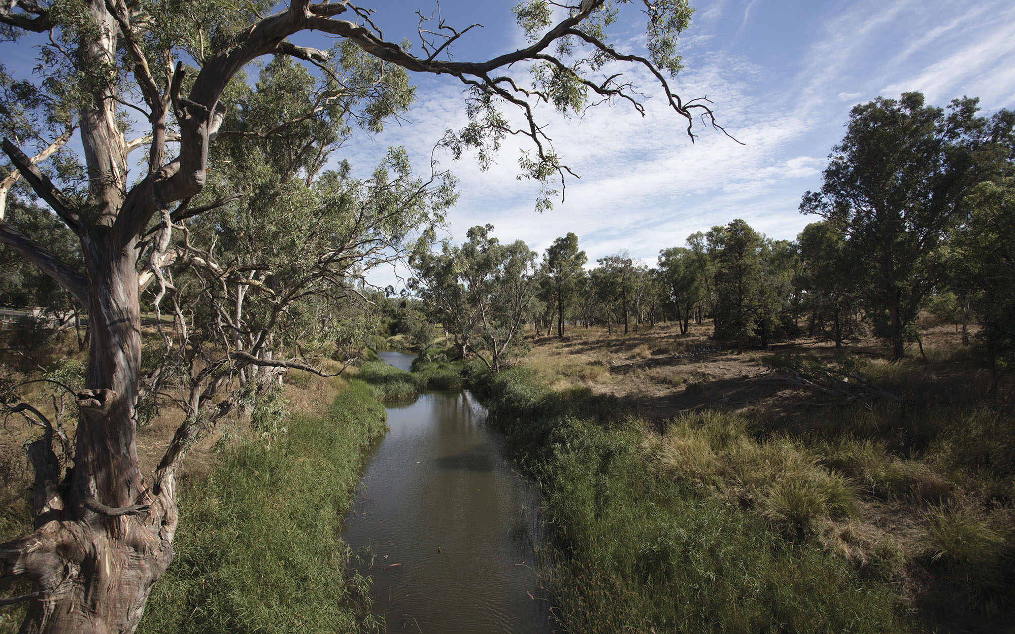 Mandagery Creek in Manildra, NSW