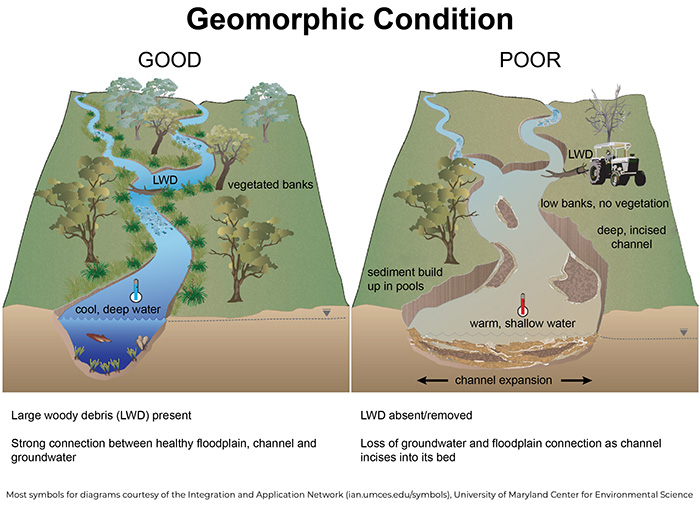Figure 2. Good versus poor geomorphic condition