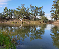 Barwon River near Brewarrina, NSW.